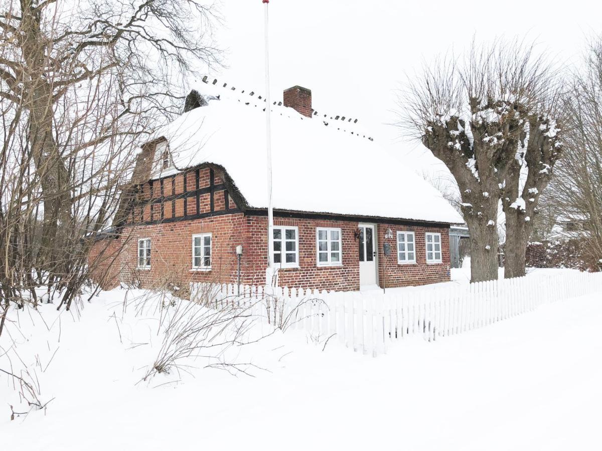 Romantisches Reetdachhaus - Frau Schroeders Mohrkirch Bagian luar foto